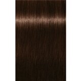 Schwarzkopf IGORA Royal Absolutes boja za kosu nijansa 4-60 Medium Brown Chocolate Natural 60 ml Cijene