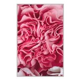 Conceptum Hypnose tepih (100x300) WOOKECE085 | Eponuda.com