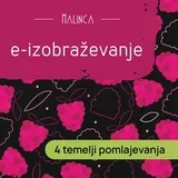 E-izobraževanje: 4 temelji pomlajevanja