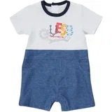 SECHO Multicolour