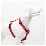 Paws & Whiskers Am za pse Prism L | Eponuda.com