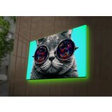 Wallity 4570DACT-61 multicolor decorative led lighted canvas painting Cene