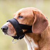 Trixie Nagobčnik Loop najlon črn L 18-30 cm | Shoptok.si