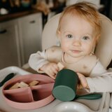Petite&Mars Silikonski okrugli tanjur s odjeljcima i vakuumom 6 m+ Take&Match, Sweet Pea Cijene