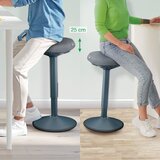 Leitz Ergonomski stol za pomoč pri stanju Ergo – | Shoptok.si