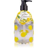 Accentra Essential Botanicals Hand Soap tekući sapun za ruke s pumpicom 300 ml Cijene