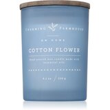 DW Home Charming Farmhouse Orchard Cotton Flower mirisna svijeća 230 g | shoptok.hr