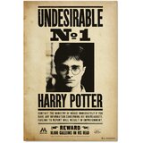HARRY POTTER PLAKAT NEZAŽELEN N1, (20837401) Cene