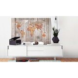  Slika na plutenoj podlozi - Wooden Stories [Cork Map] 90x60 | shoptok.hr