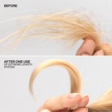 Redken Extreme Length Sealer | Shoptok.si