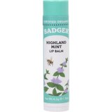 Badger Balm Lip Balm stik - Gorska meta Cene