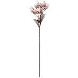 Eglo living veštačka biljka Molave 428124 | ePonuda.com