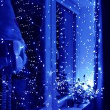  Žičane lampice s 300 LED dioda | shoptok.hr