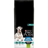 Purina Large Adult Athletic jagnjetina & riž OPTIDIGEST - 14 kg | Shoptok.si