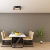  LED stropno svetlo TULUZA LED/24W/230V prečnik 40 cm crno | Eponuda.com