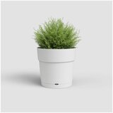 Artevasi Cvetlični lonec iz reciklirane plastike ø 20 cm Capri – | Shoptok.si