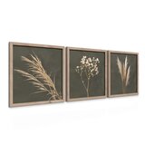 Styler Slike u setu 3 kom 30x30 cm Pampas – | shoptok.hr