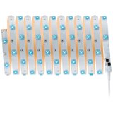 PAULMANN 3988 - LED RGBW/13W prigušiva traka TIP 5 m 230V + daljinski upravljač | Eponuda.com