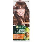 Garnier Color Naturals trajna barva za lase z negovalnimi olji 40 ml Odtenek 6.34 chocolate za ženske