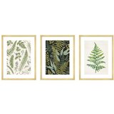 knor Plakati v kompletu 3 kos 30x40 cm Fern Cene