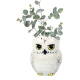 Blue Bay Harry Potter - Zbirateljske - Vaze - Stenska vaza v obliki Harryja Potterja - Hedwig, (21328063) | Shoptok.si