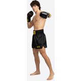 Benlee Lonsdale Men's thaibox trunks | Eponuda.ba