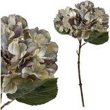 Mondex umetna hortenzija plastika Viridis 35cm bela 1kos, (5000329482) | Shoptok.si