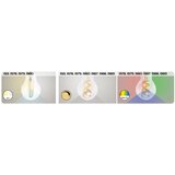 Rabalux LED filament žarulje - Filament-LED | shoptok.hr