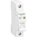 Schneider Electric Miniaturni odklopnik R9F23116, (21040864) Cene
