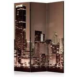  Paravan u 3 dijela - Night life in Miami [Room Dividers] 135x172 Cijene