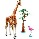 Lego Creator 3in1: Živali na divjem safariju | Shoptok.si