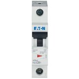 Eaton miniaturni odklopnik FAZ-C20/1, (20889909) Cene