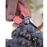 ALTUNA 1261 Makaze za branje fiber drška - pravo sečivo, 180mm Cene