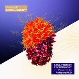 Shiseido Vital Perfection Concentrated Supreme Cream učvršćujuća krema za smanjenje bora 50 ml | shoptok.hr