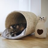 Modern Living Mehka Odeja Pet | Shoptok.si