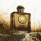 Burberry Goddess parfum za ženske 30 ml | Shoptok.si