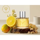 Mexx Ice Touch Man (2014) parfumska voda za ženske 40 ml | Shoptok.si