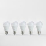  komplet 5x led sijalica A60 E27/9W/230V 2700K - paulmann 28780 | Eponuda.com