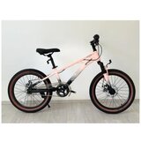 Winner Bike Bicikle BIC.20" QL-PINK Cene