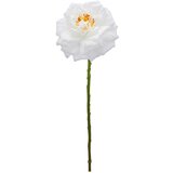 Mömax Vrtnica Rose Ii -Paz- Cene