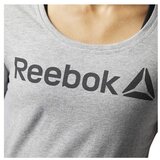 Reebok Linear Read Siva | shoptok.hr