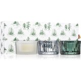 Paddywax Cypress & Fir darilni set Cene