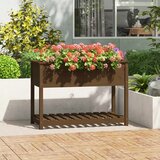 vidaXL Visoka greda s polico medeno rjava 111,5x54x81cm trdna borovina | Shoptok.si