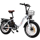 BENFUTO Električno kolo DrVetion CT20, 750 W motor, 48 V 20 AH baterija SAMSUNG, 20*4.0 pnevmatike, barvni zaslon, hidravlična kolutna zavora (bela | 20 AH), (21437328) Cene