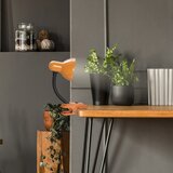 Rabalux dennis stona lampa E27 40W narandžasta JJ99XXN | Eponuda.com