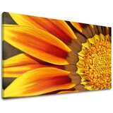  Slike na platnu cveće (moderne slike na platnu) | ePonuda.com