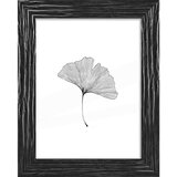 ecoTree Okvir Za Slike Frido | Shoptok.si