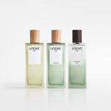 Loewe Aire Sutileza Elixir parfemska voda za žene 50 ml | shoptok.hr