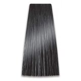 Prosalon Farba za kosu COLORART - Jako pepeljasta tamna plava 6/11 100g | Eponuda.ba