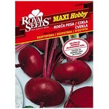  Cvekla Egipatska 11 g Royal Seeds Cijene